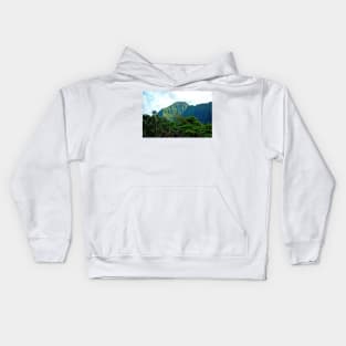 Pali Lookout View 3 Kids Hoodie